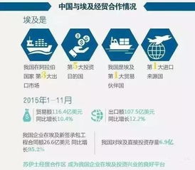 埃及進入國家緊急狀態 商務部發布警示，外貿貨代企業需加強風險防范